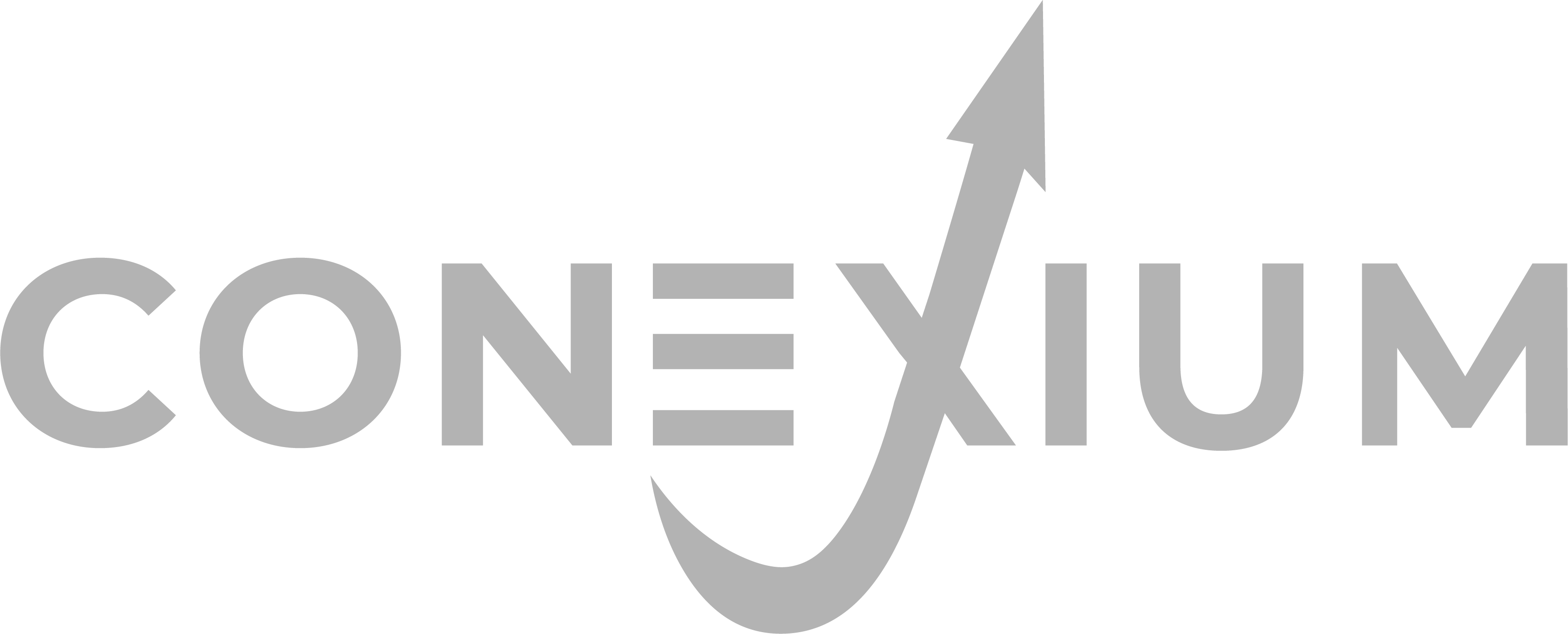 Conexium - Consultoría Estratégica