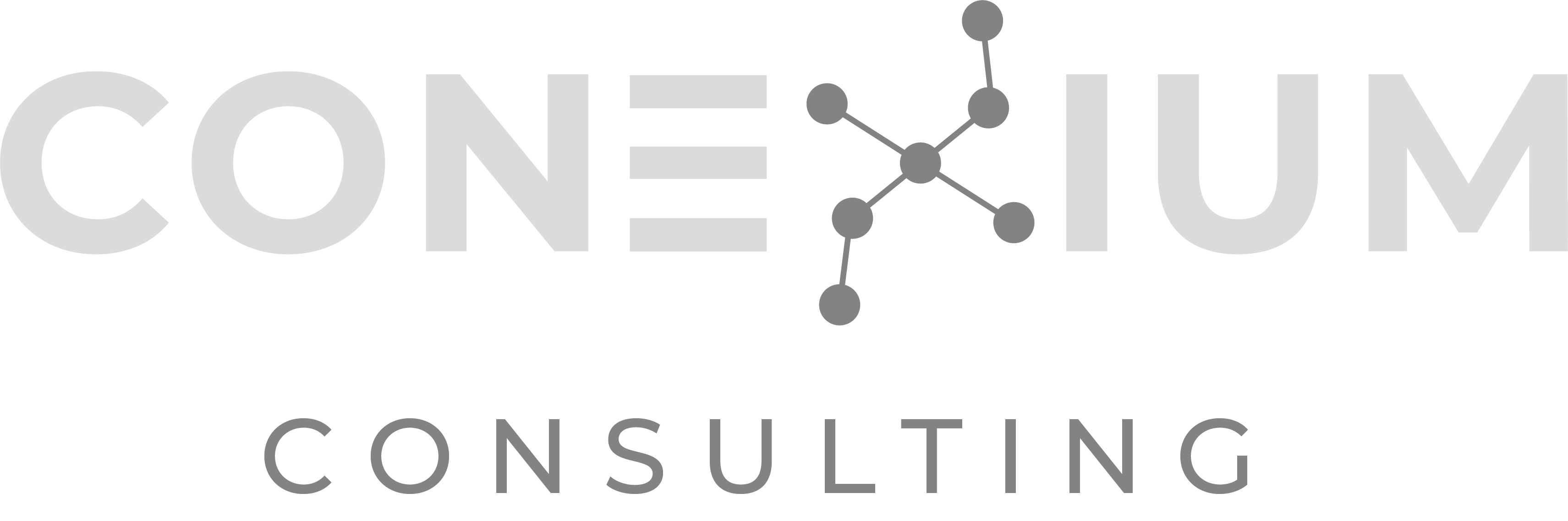 Conexium Consulting